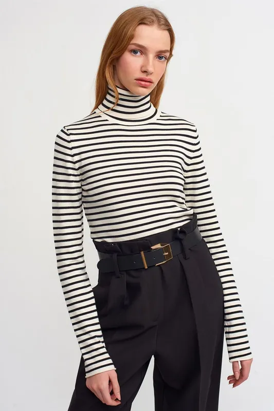 Women’s Striped Ribbed Turtleneck Sweater - Dilvin