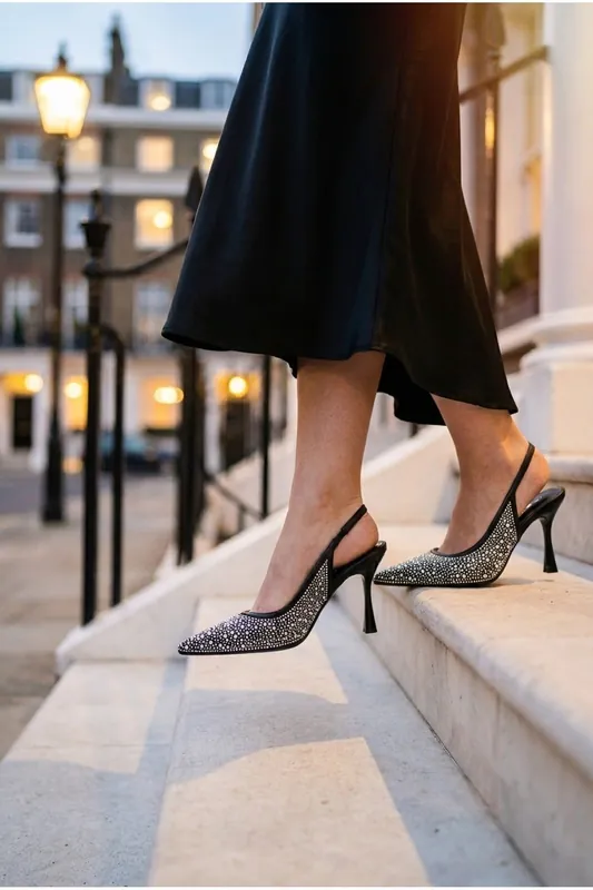 Cordelia Embellished Mesh Pointed Toe Heels - IKRUSH