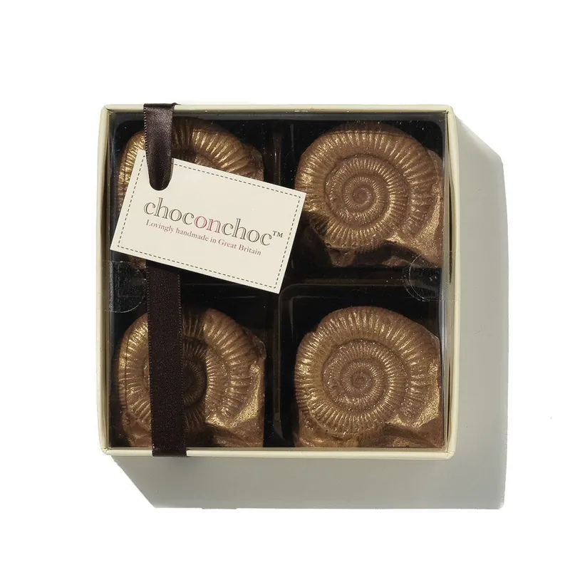 Chocolate Fossils - CHOC ON CHOC