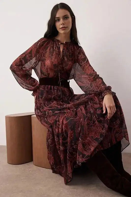 Paisley Print Belted Tiered Long Sleeve Sheer Maxi Dress - WOVCOR