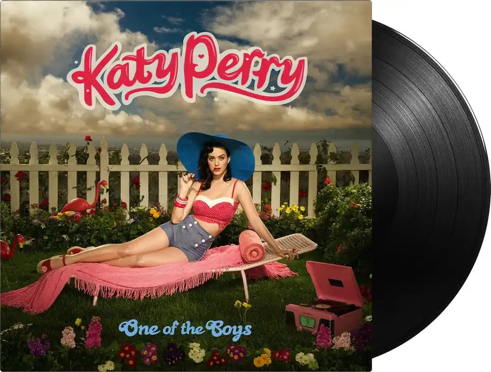 One Of The Boys - Vinyl LP