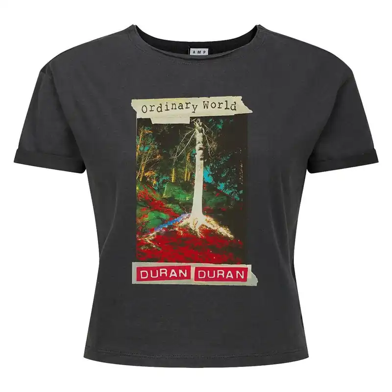 Ordinary World Duran Duran Crop T-Shirt