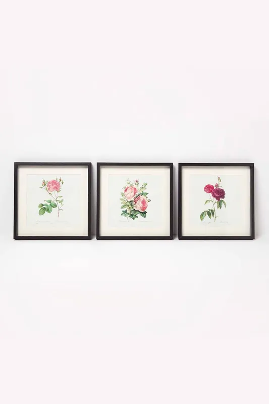 Wall Decoration Set of 3 Frames with Picture, Roses - Homescapes
