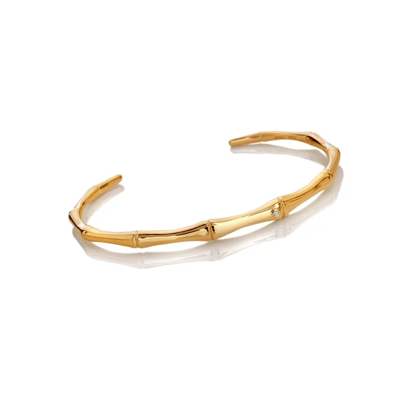 HD X GE Bondi Bangle - Hot Diamonds