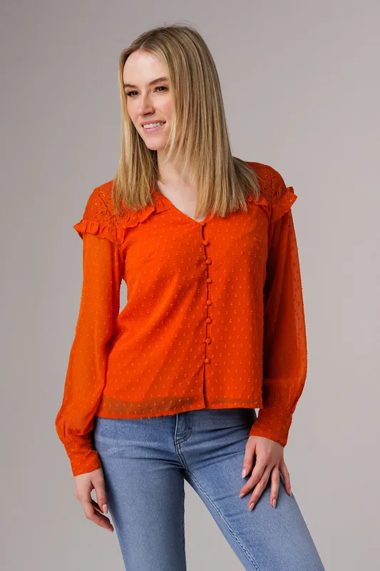 Lace Semi-Sheer Long Sleeve Ruffled V-Neck Blouse