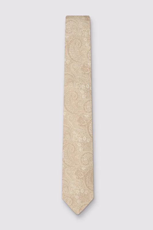 Paisley Wedding Tie - Antique Rogue