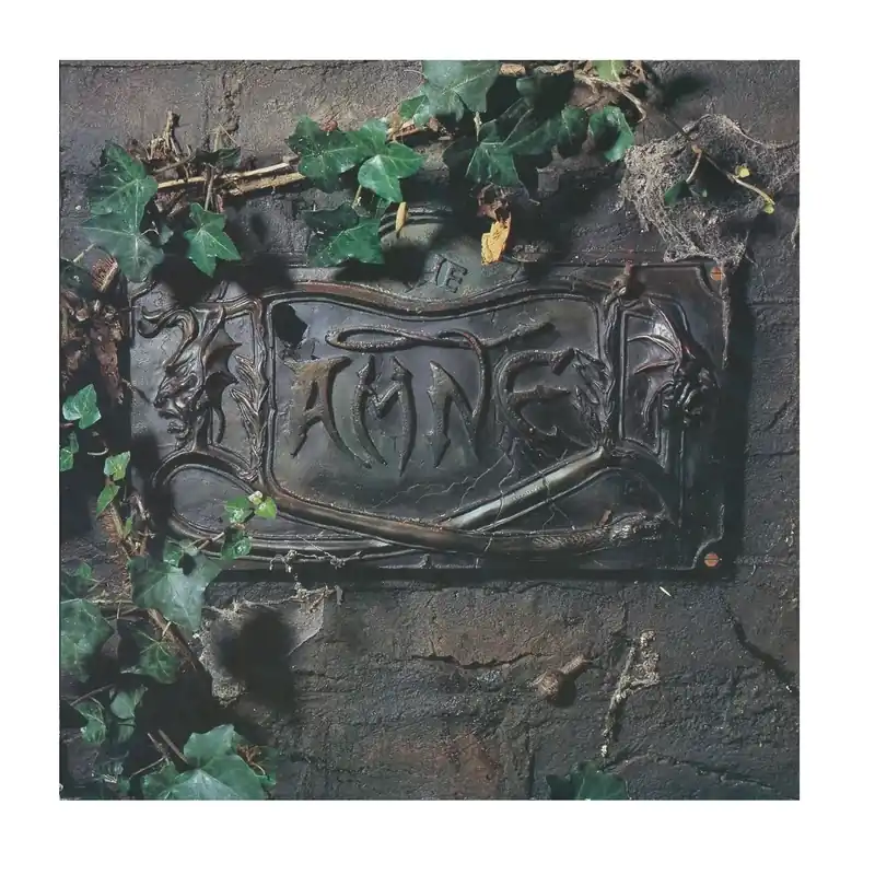 The Black Album - 2xLP