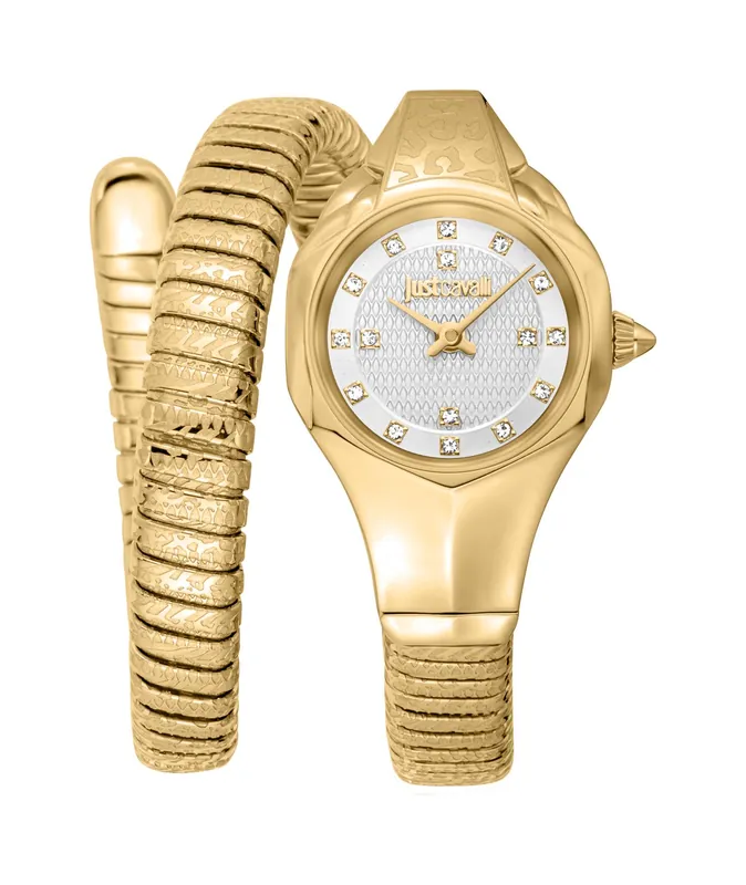 Amalfi Quartz Silver Dial Watch - Just Cavalli