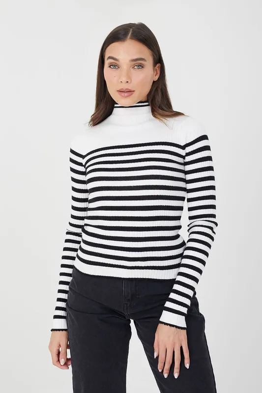 Stripe Rib Turtleneck Jumper - Brave Soul