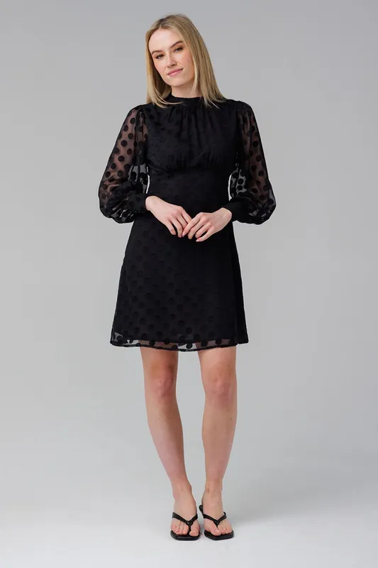 High Neck Long Sleeve Skater Dress - Influence