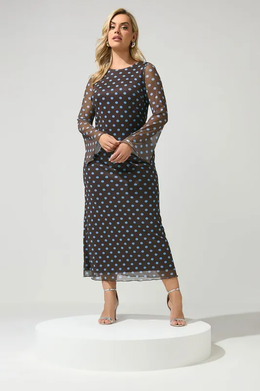 Polka Dot Mesh Maxi Dress - Yours