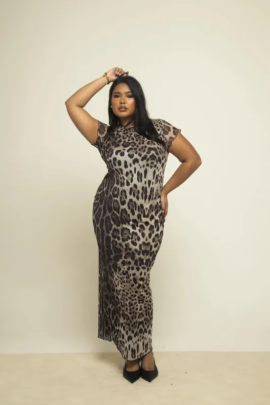 Curve Capped Sleeve Leopard Print Mesh Midaxi Dress - FASHION-SZN
