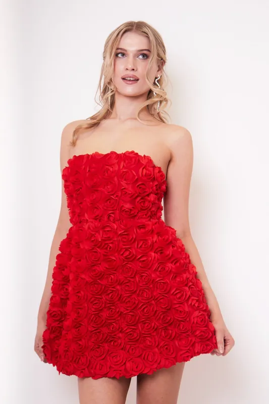 Jumi Red Rose Appliqué A Line Mini Dress - Jaded Rose