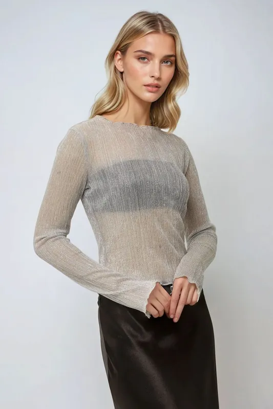 Textured Crew Neck Glitter Fitted Blouse - Hiccup