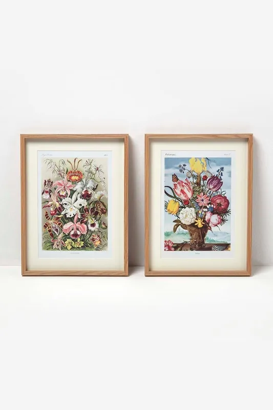 Original Wall Decoration Botanical Flowers Set of Decorative Frames - Homescapes