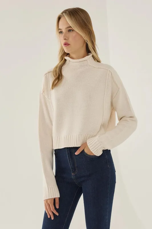 Relaxed Fit Half Turtleneck Sweater - Hiccup