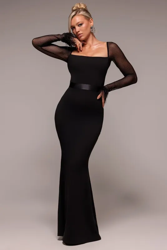 Dobby Mesh Feather Sleeve Evening Maxi Dress - Goddiva