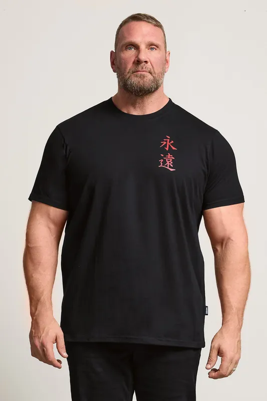 Japanese Graphic T-Shirt
