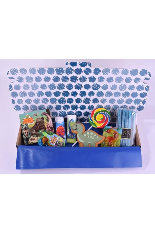 Dinosaur Gift Box - Spicers of Hythe Ltd