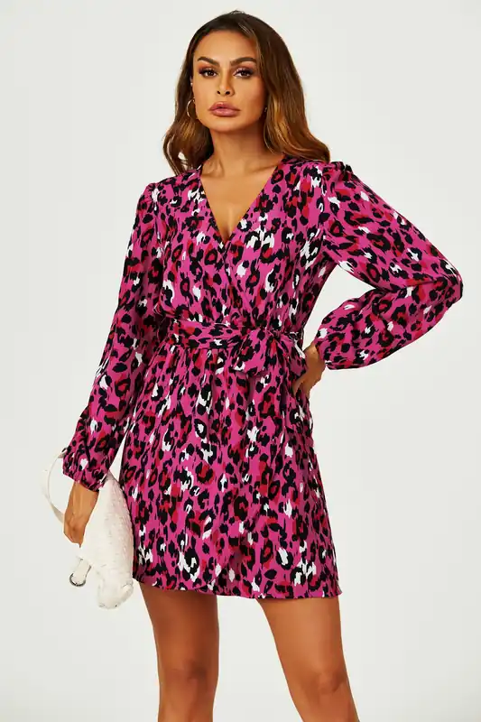 Leopard Print Wrap Top Mini Dress In Magenta - FS Collection
