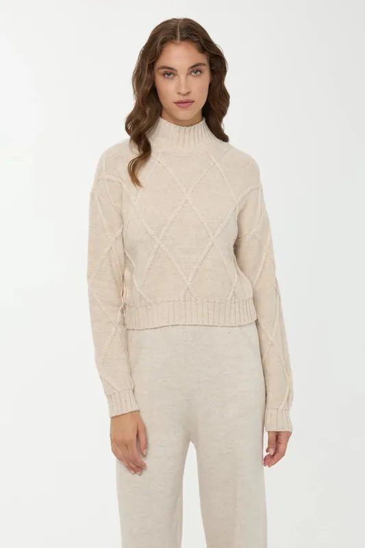 Textured Half Turtleneck Knit Sweater - Hiccup