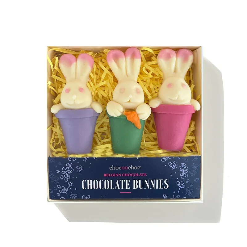Chocolate Bunnies - CHOC ON CHOC