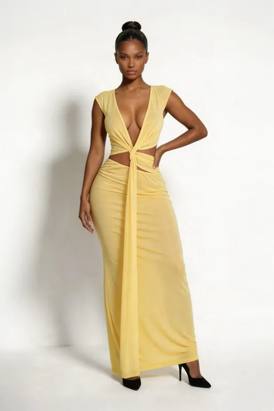 The Elara Mesh Maxi Dress - LEMONLUNAR