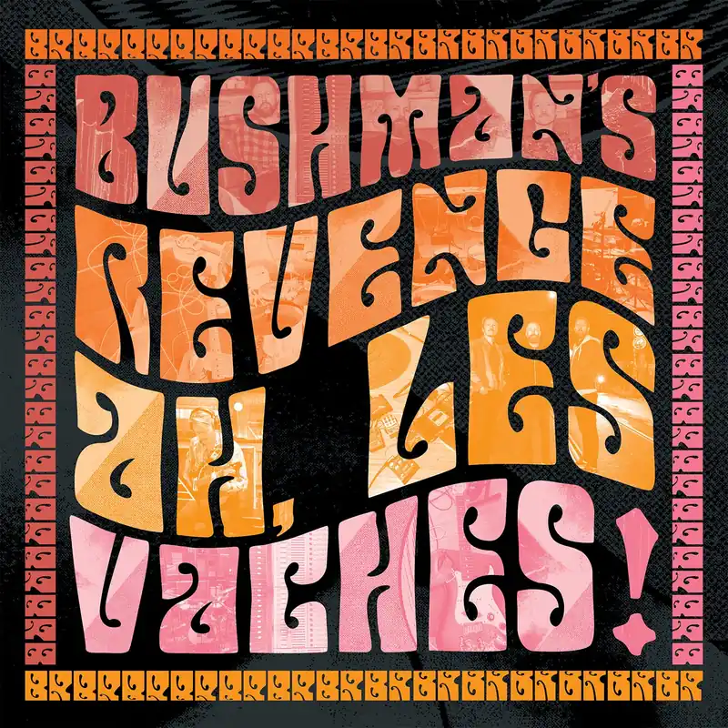 Bushman's Revenge - Ah, Les Vaches! - CD