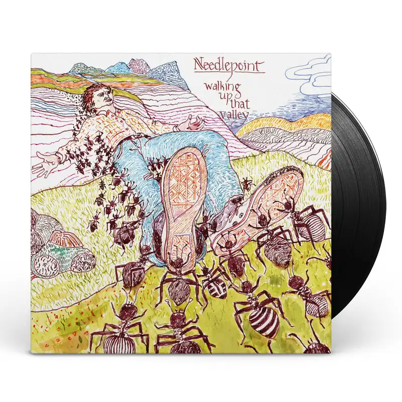 Needlepoint - Walking Up That Valley - LP
