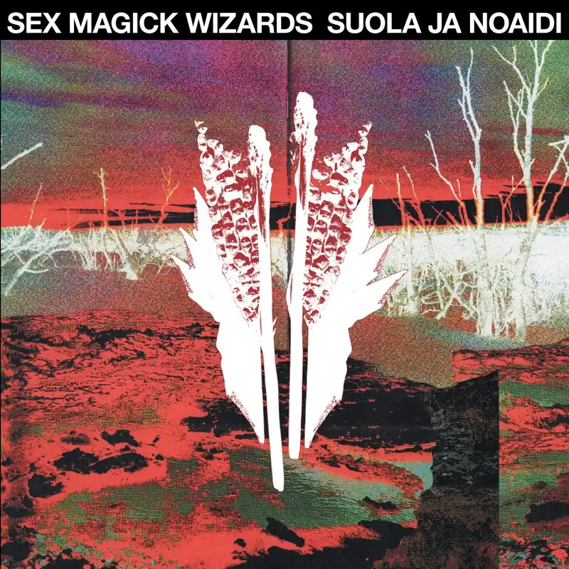Sex Magick Wizards - Suola ja Noaidi CD