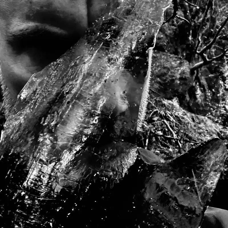 Taake - En Skog av Nidstang - CD