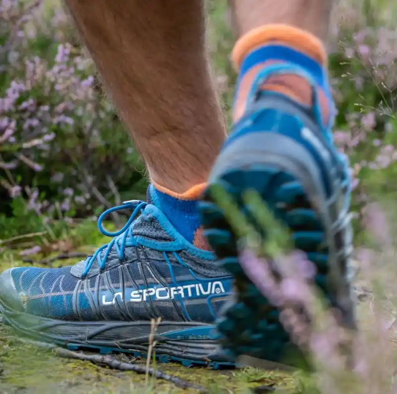 EDZ Merino Trainer Socks