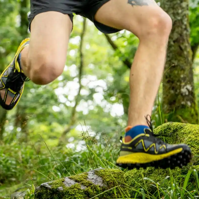 EDZ Merino Running Socks (3 pack)